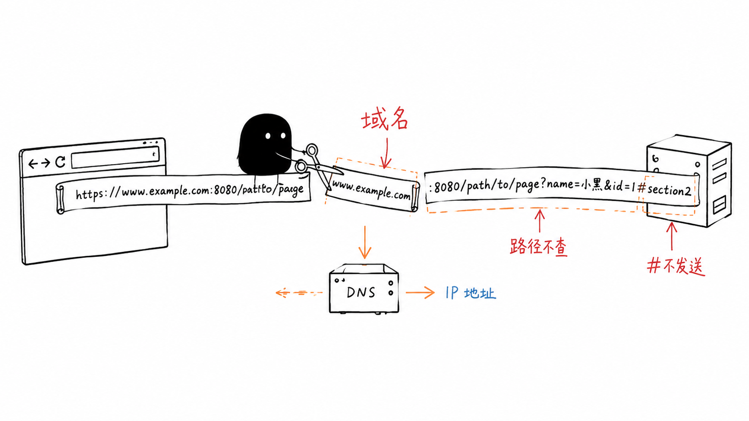 URL 中只有域名进入 DNS 解析